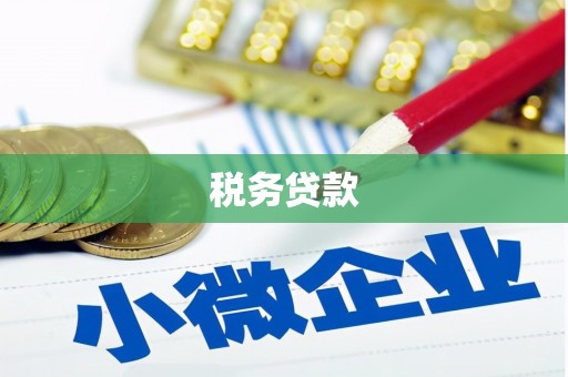 东势税务贷款