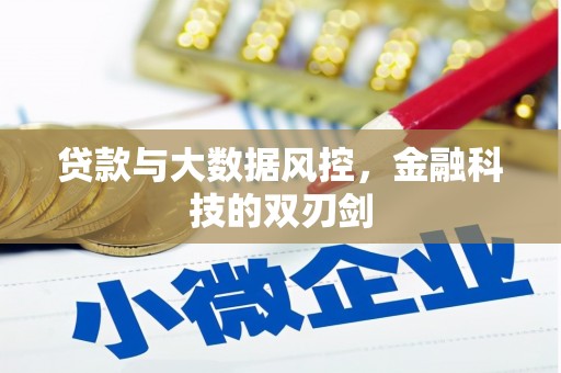 东势贷款与大数据风控，金融科技的双刃剑
