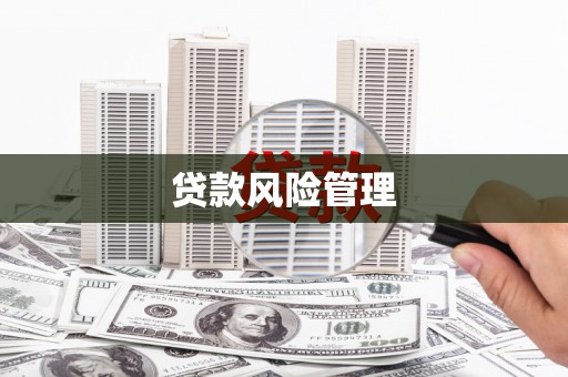 东势贷款风险管理