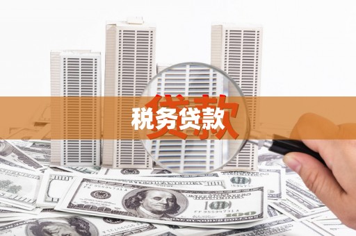 东势税务贷款