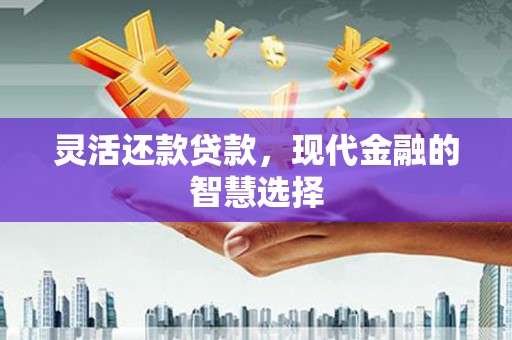 东势灵活还款贷款，现代金融的智慧选择