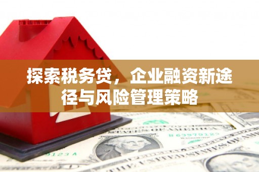 东势探索税务贷，企业融资新途径与风险管理策略