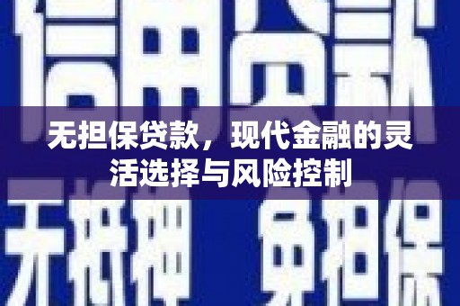 东势无担保贷款，现代金融的灵活选择与风险控制
