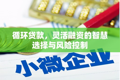 东势循环贷款，灵活融资的智慧选择与风险控制