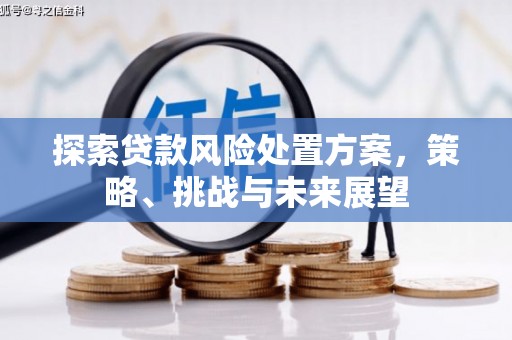 东势探索贷款风险处置方案，策略、挑战与未来展望