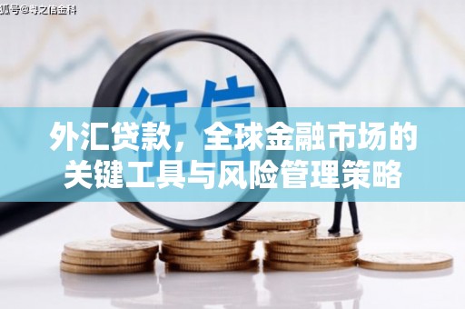 东势外汇贷款，全球金融市场的关键工具与风险管理策略