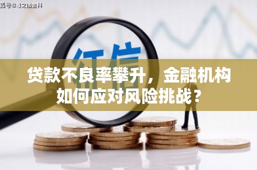 东势贷款不良率攀升，金融机构如何应对风险挑战？
