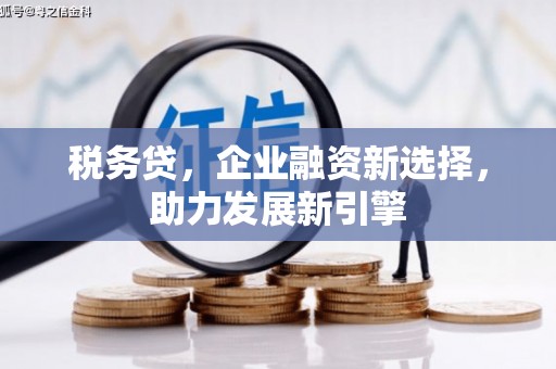 东势税务贷，企业融资新选择，助力发展新引擎