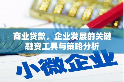 东势商业贷款，企业发展的关键融资工具与策略分析