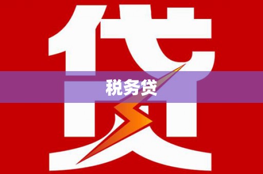 东势税务贷