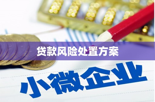 东势贷款风险处置方案