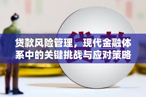 东势贷款风险管理，现代金融体系中的关键挑战与应对策略