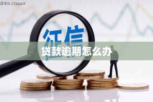 东势贷款逾期怎么办