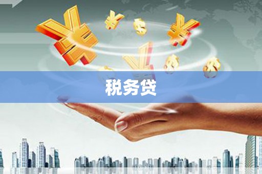 东势税务贷