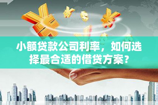 东势小额贷款公司利率，如何选择最合适的借贷方案？