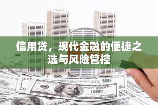 东势信用贷，现代金融的便捷之选与风险管控