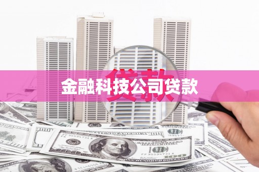 东势金融科技公司贷款