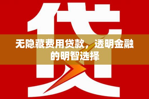 东势无隐藏费用贷款，透明金融的明智选择