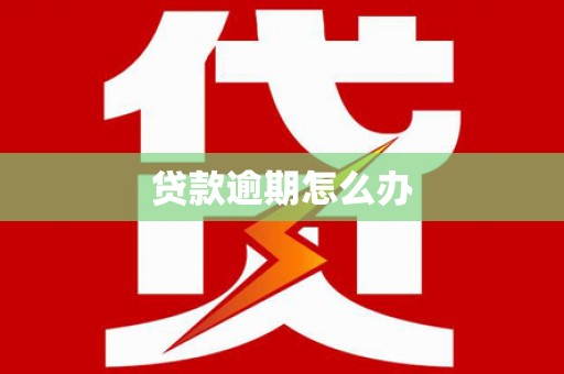 东势贷款逾期怎么办