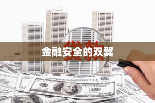 东势金融安全的双翼
