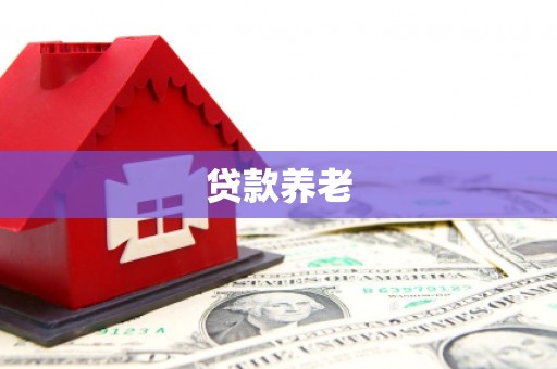 东势贷款养老