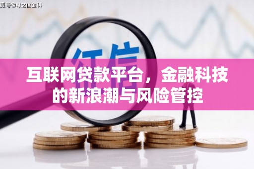 东势互联网贷款平台，金融科技的新浪潮与风险管控