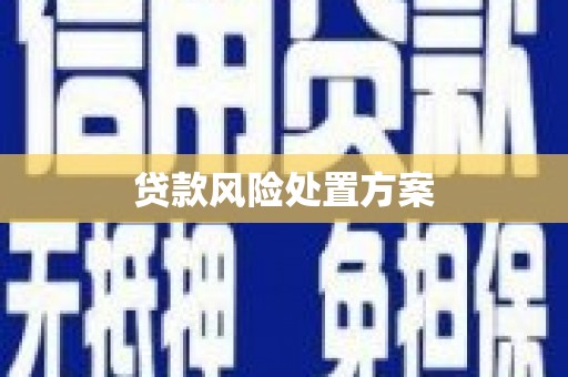 东势贷款风险处置方案