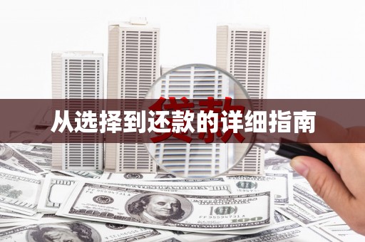 东势从选择到还款的详细指南